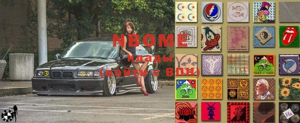 шишки Новозыбков