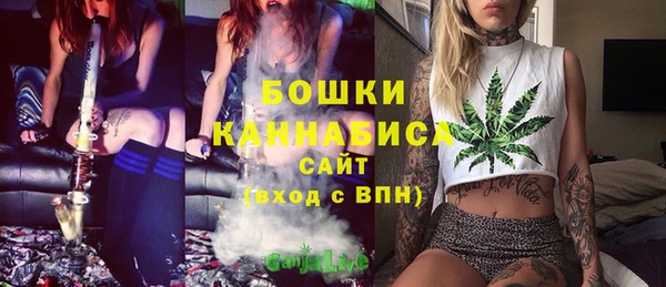 соль ск Гусиноозёрск