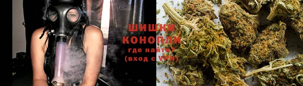 шишки Новозыбков