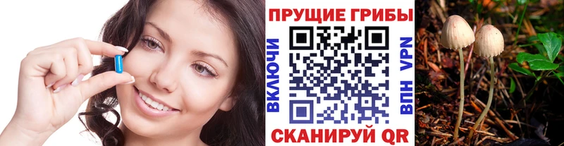 Галлюциногенные грибы Psilocybe  продажа наркотиков  маркетплейс официальный сайт  Обоянь 